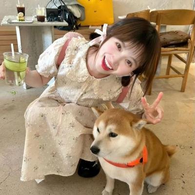 喷火女郎国语封面
